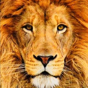 Meet your Posher, Lavonti